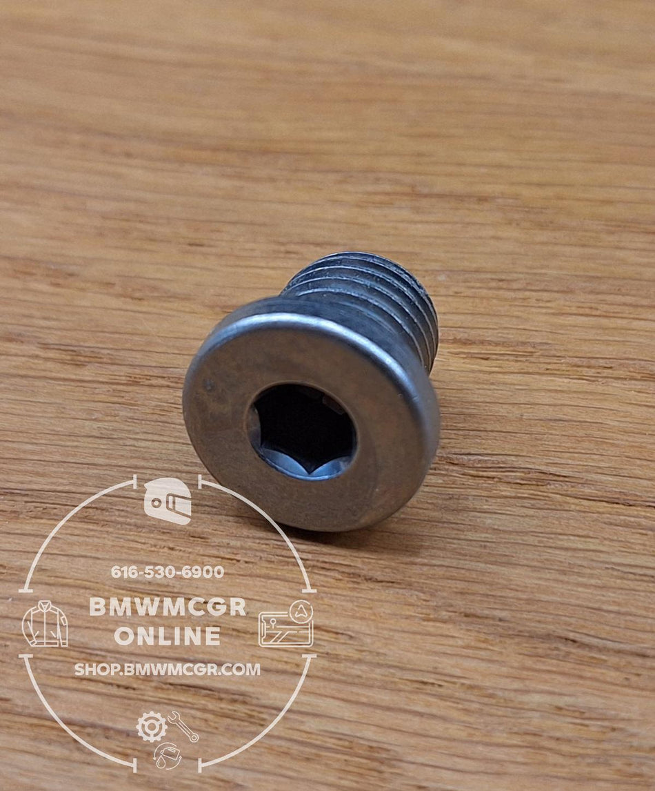 Fill Plug Final Drive 2010-2023 R1200/1250 07119904550