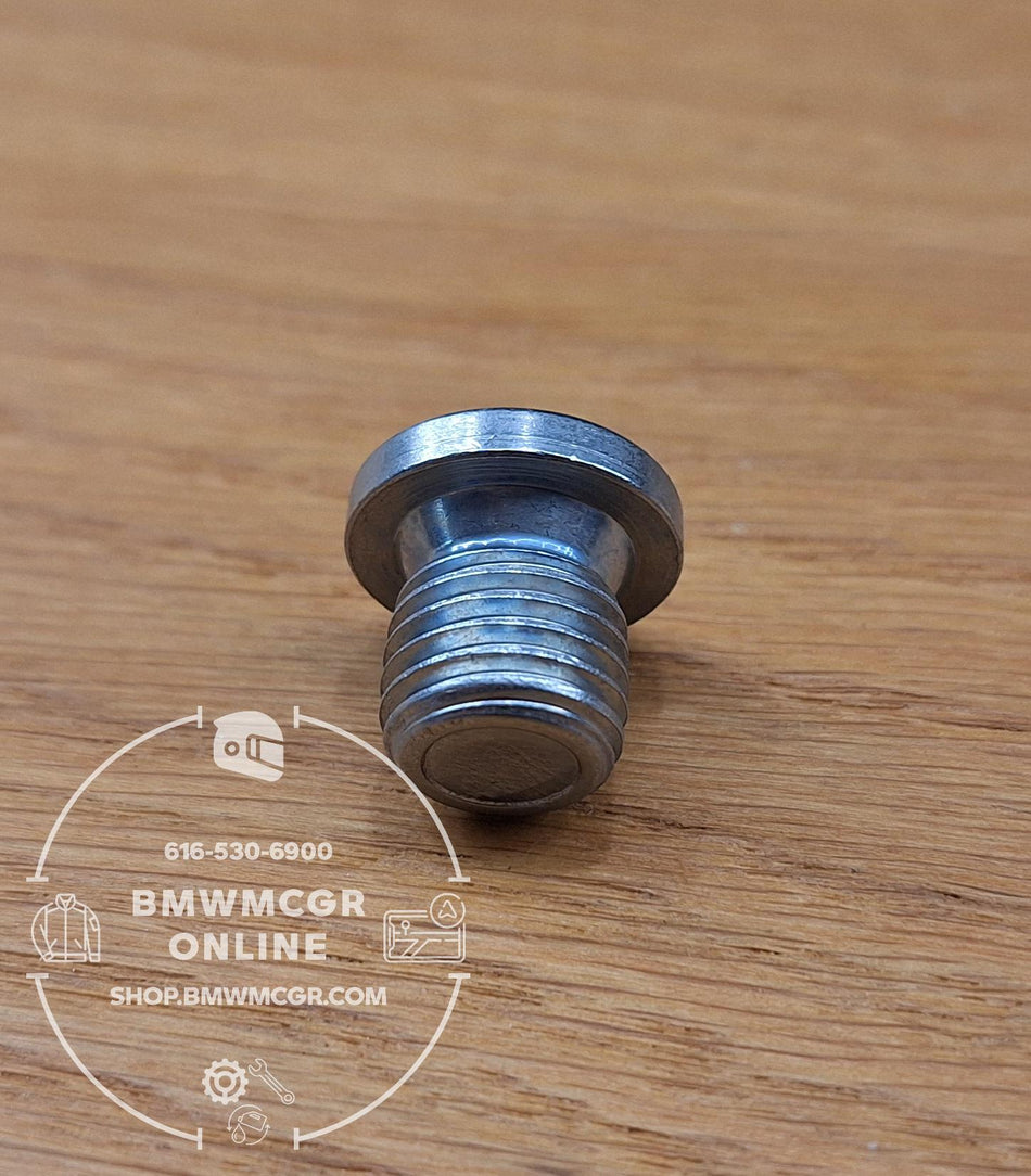 Fill Plug Final Drive 2010-2023 R1200/1250 07119904550