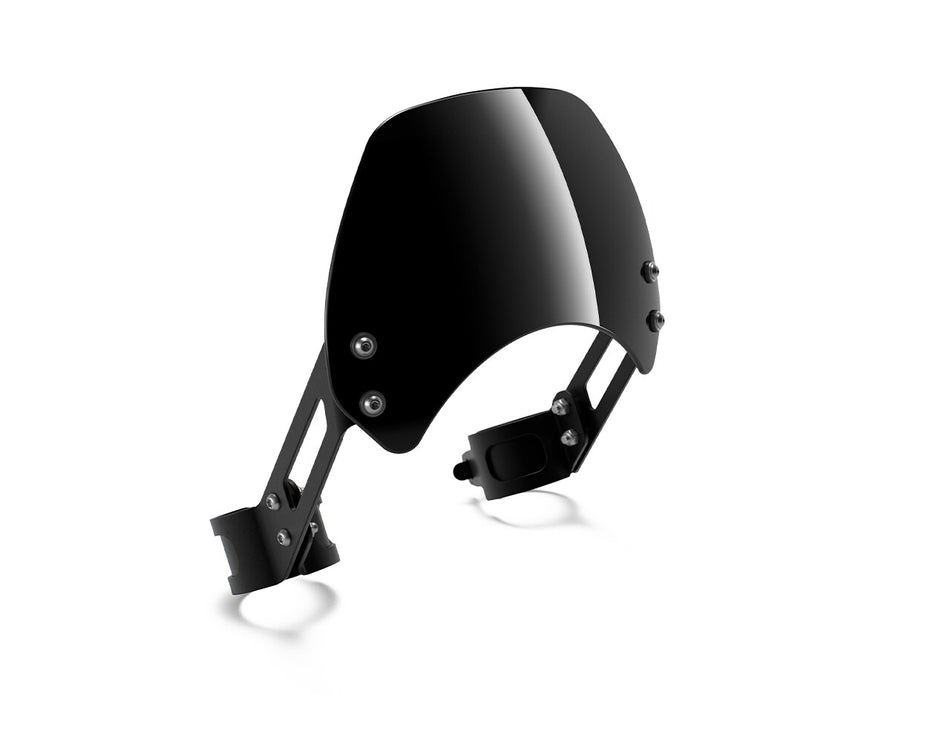 Black Painted Windshield for Bear 650