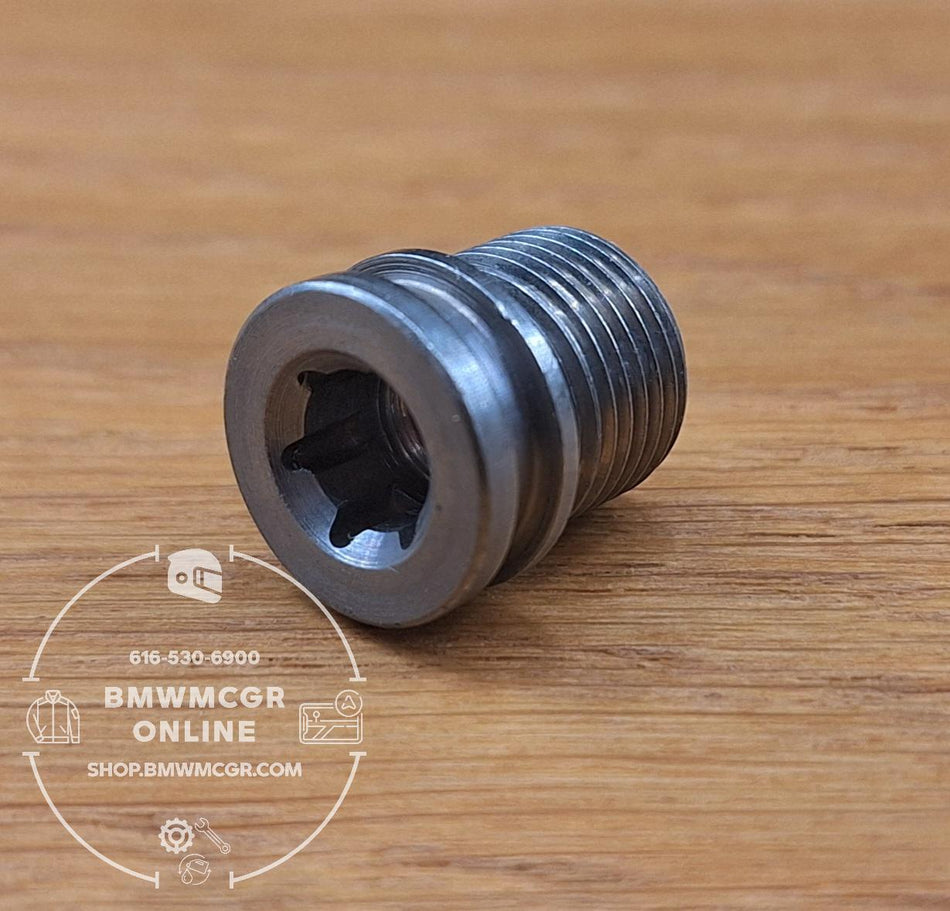 Oil Filler Plug Final Drive K1600