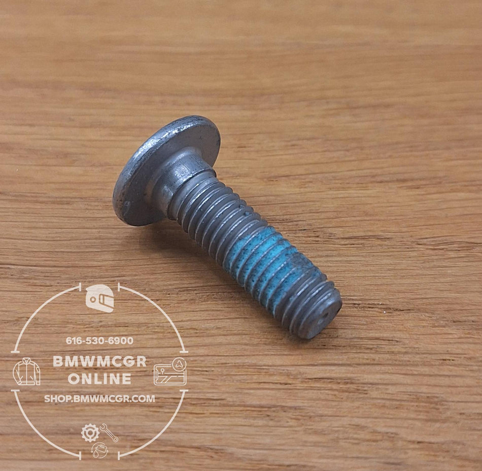 BMW Brake Rotor Bolts Front M8 X 27 10.9 R1200/R1250 K1600/ K1200/1300 S1000RR