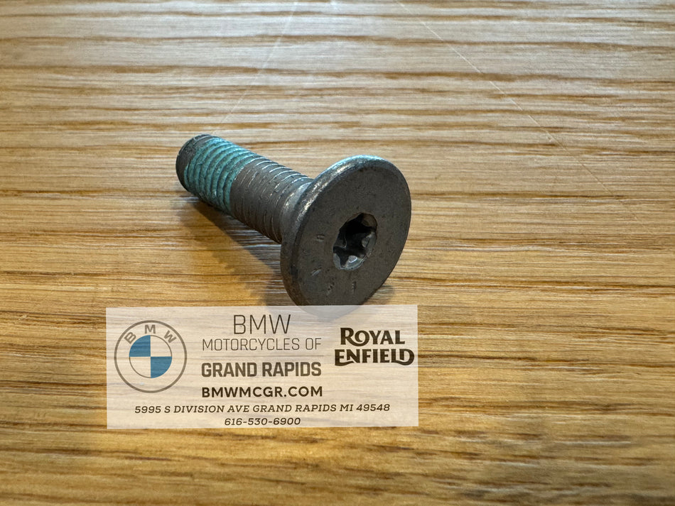 BMW Brake Rotor Bolts Front M8 X 27 10.9 R1200/R1250 K1600/ K1200/1300 S1000RR